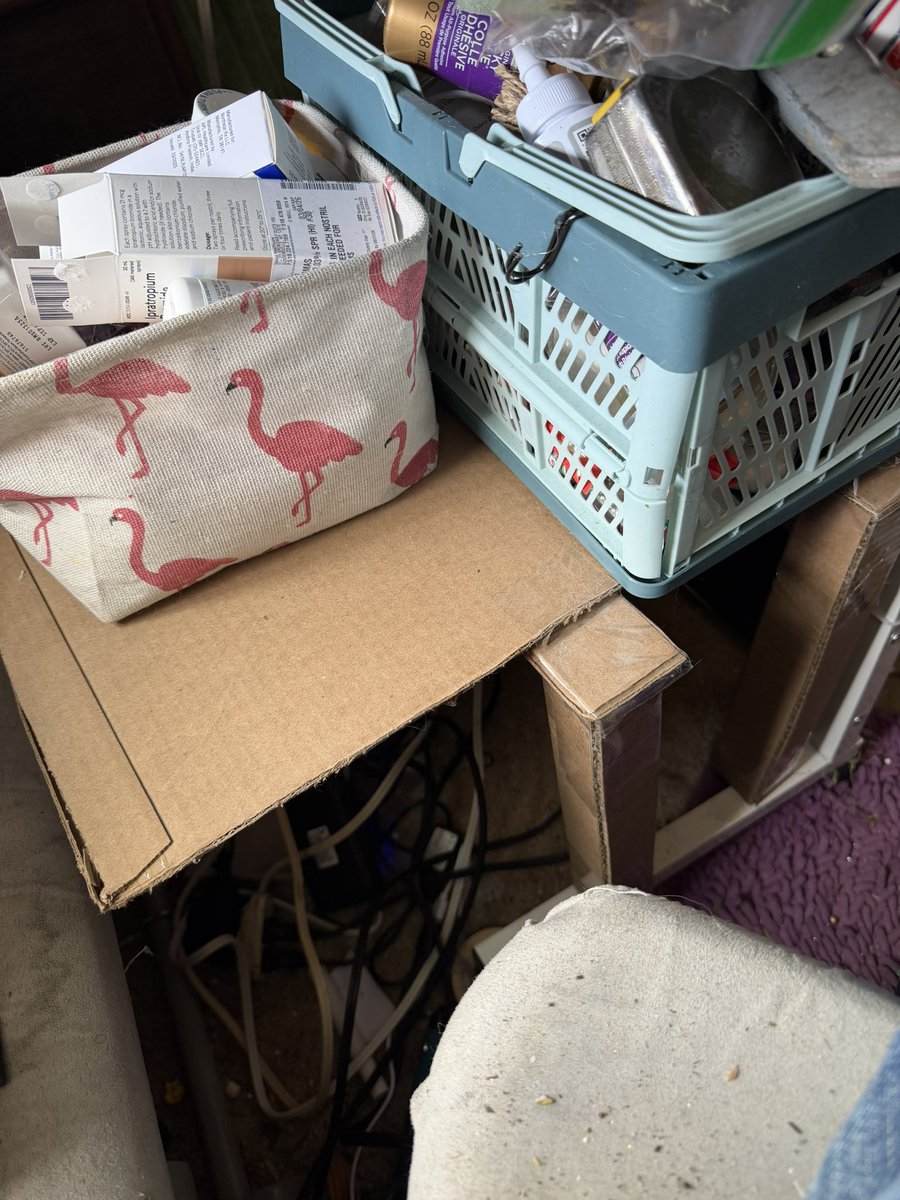 addie_1122's tweet image. ⏰At 7 am, having been awake 28 some hours, I decided I wanted a shelf under my table 😹 MORE storage space for #Stuff 😏😹
So I finished it after lunch 🥪 and here you have today’s project‼️

No running tomorrow so I have a whole day in the shop 🖌️🎨 being creative 🤭