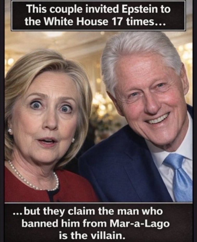 The Mighty Zim tweet media