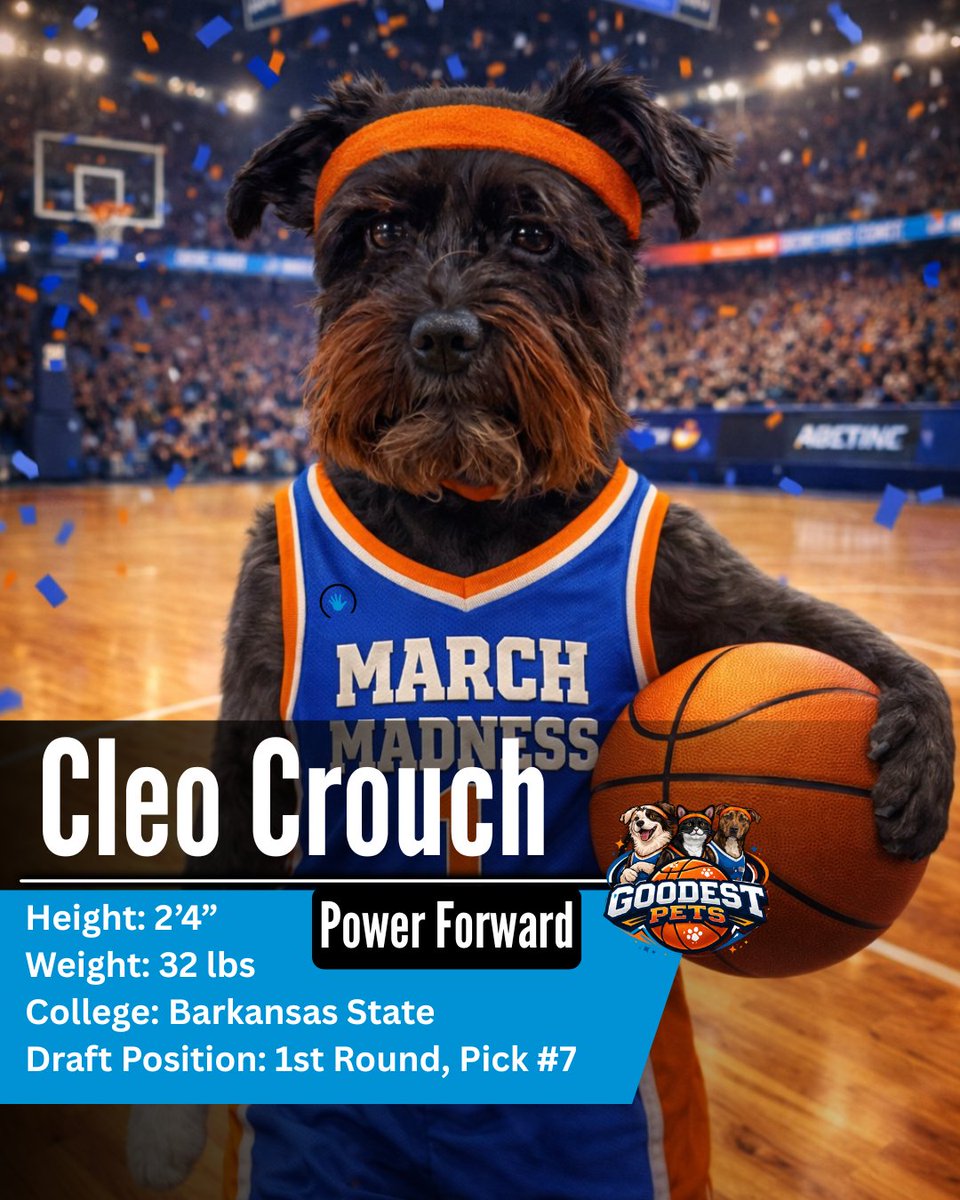 High Five Media tweet media