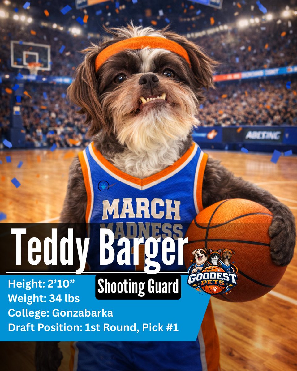 High Five Media tweet media