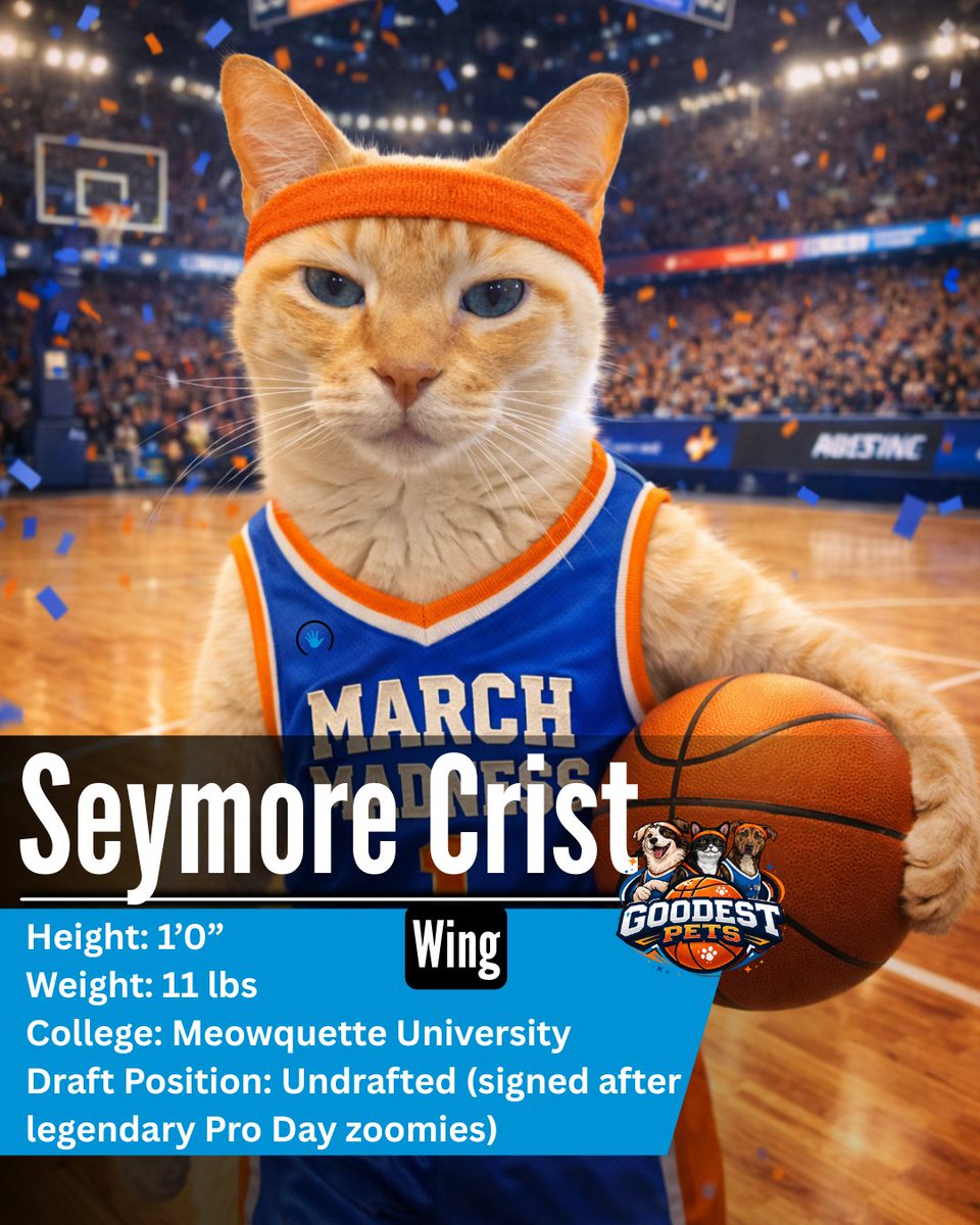 High Five Media tweet media