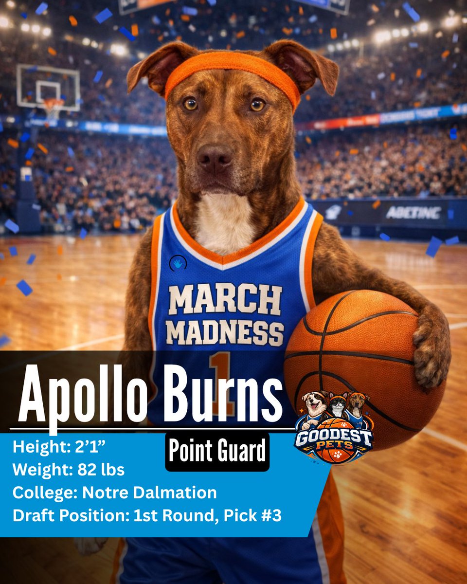 High Five Media tweet media