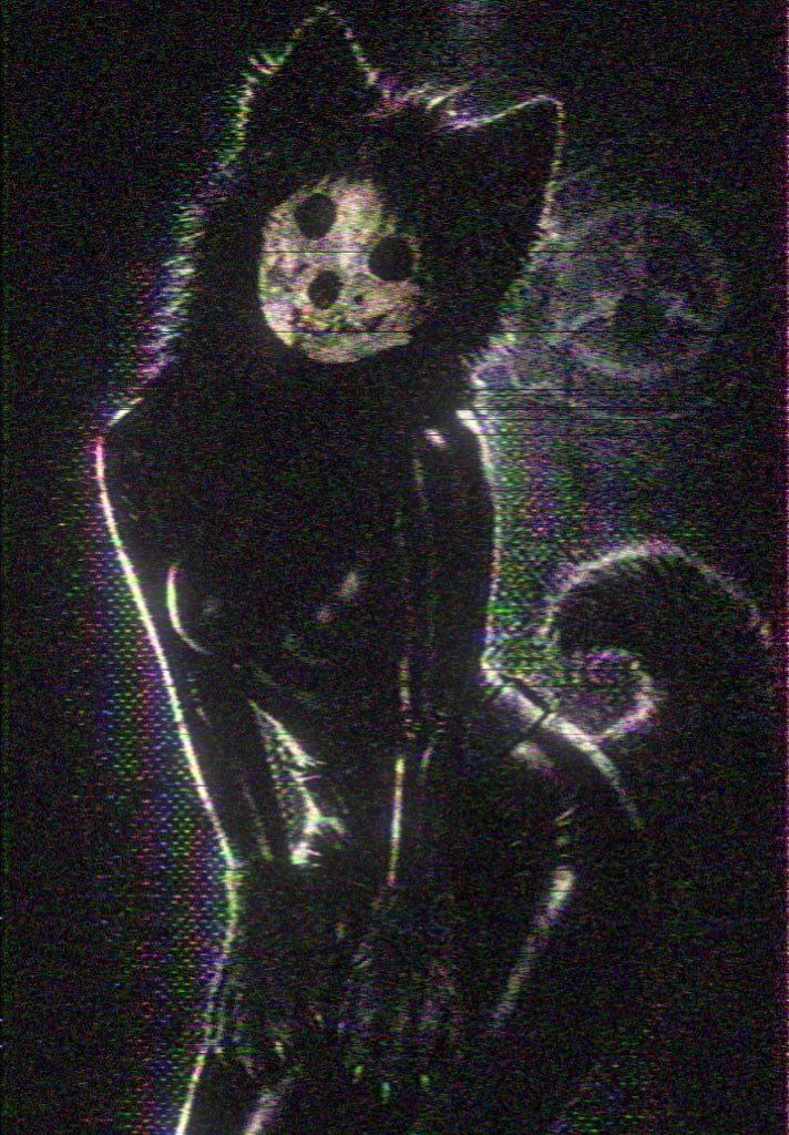 Your favorite internet entities birthday is today~ 
Be nice :3