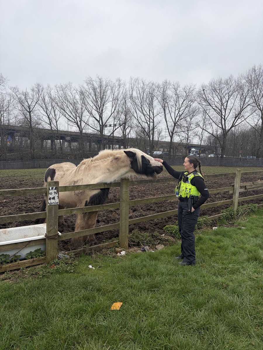 Pleck Police tweet media