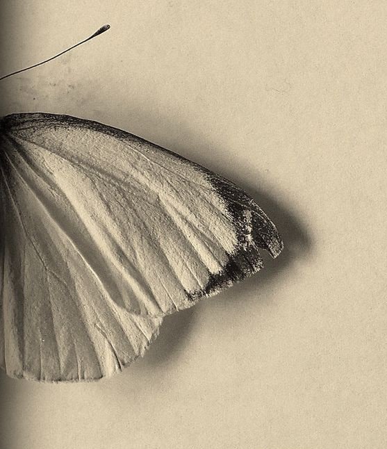 İnsanlar yerlerini kendileri belirler...

"Hissettirdikleriyle."