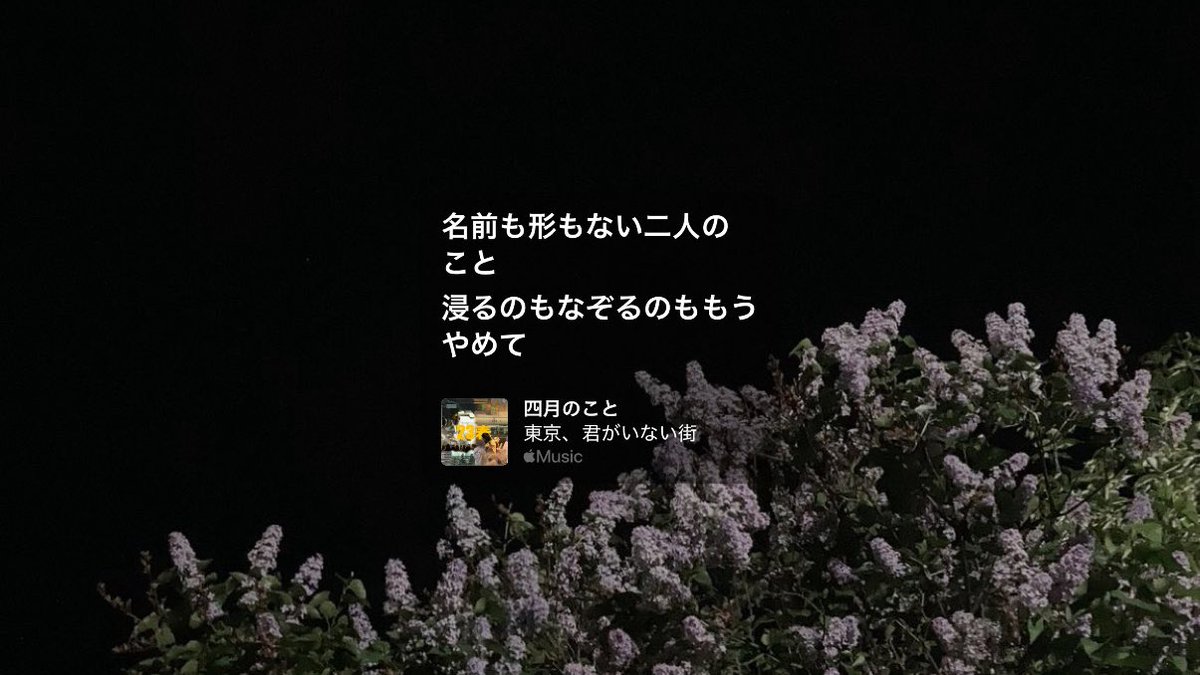 「 ︎︎ 」 tweet media