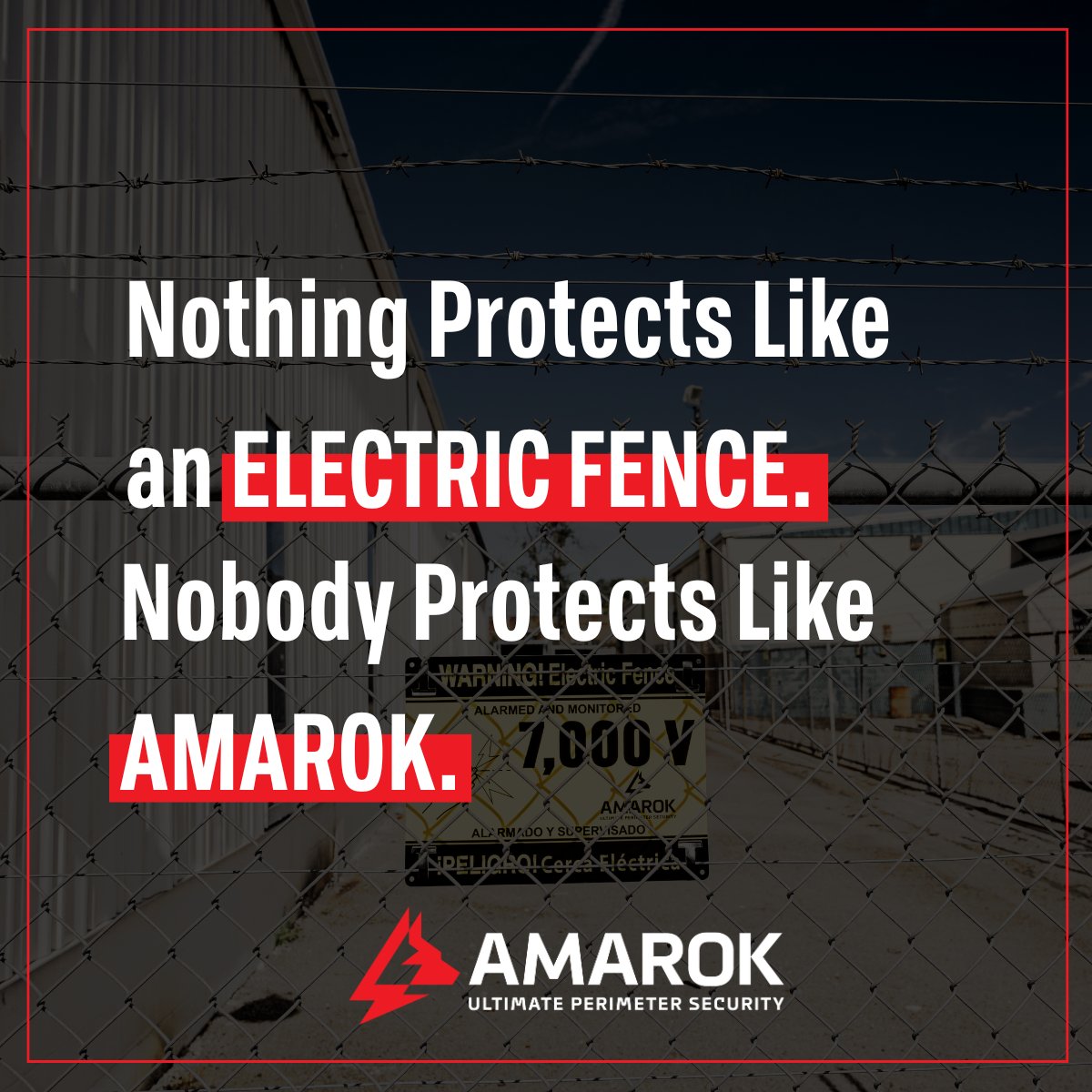 AMAROK tweet media
