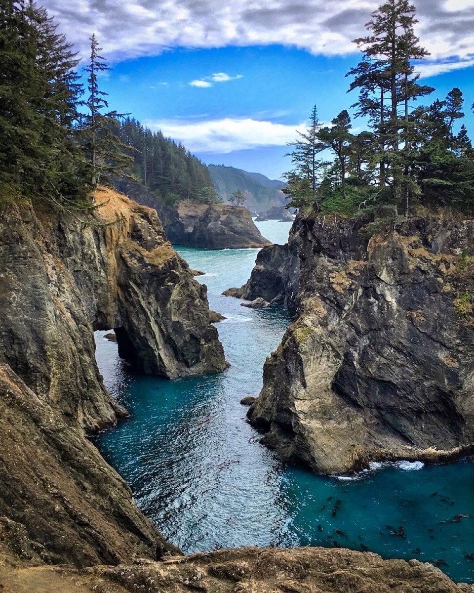 Adam Buschbacher tweet media