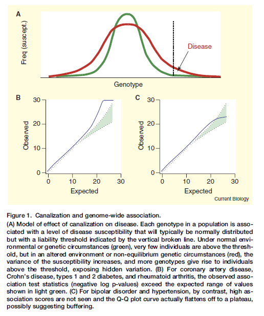 MarigortaLab tweet media