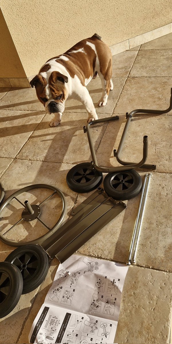 Miss Moneypenny tweet media