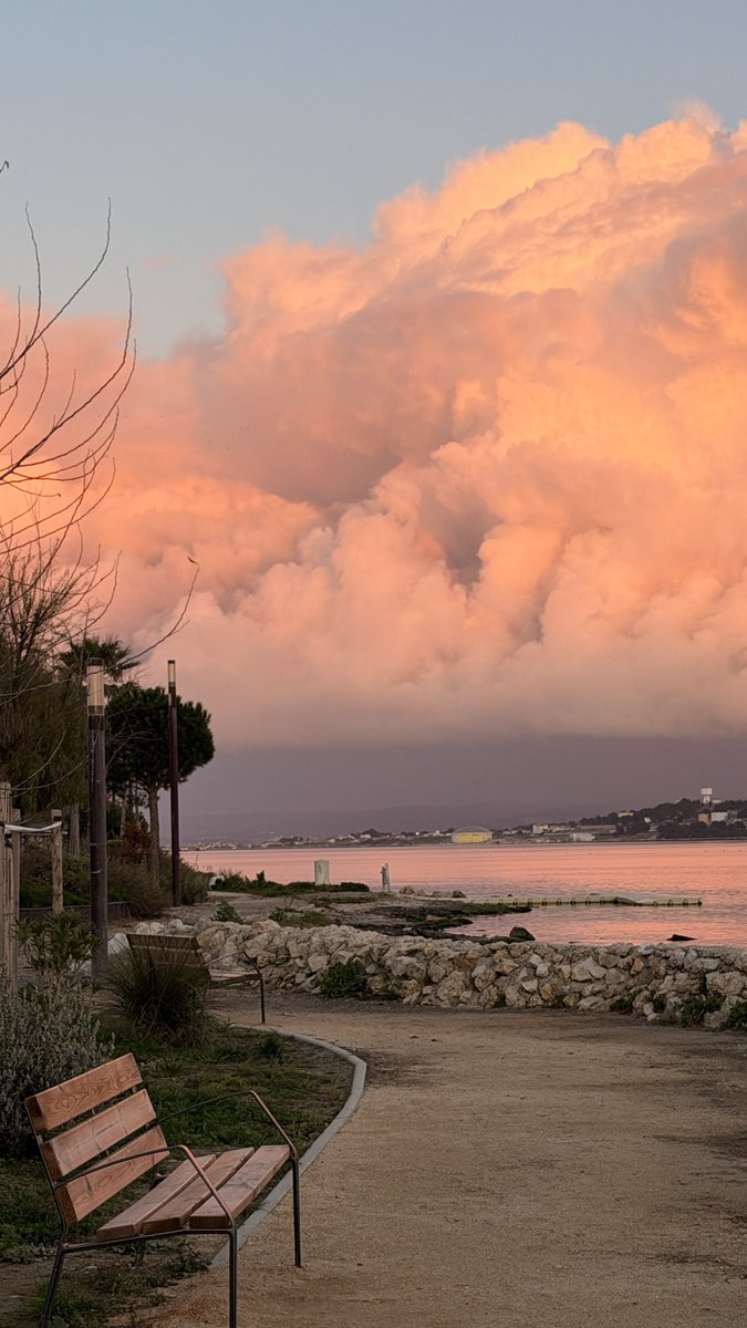 Jonathan Incroyable tweet media