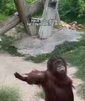 Youngbaale CFC tweet media