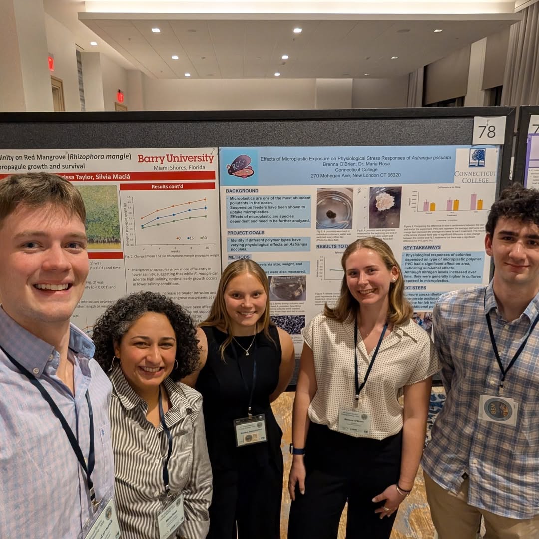 ConnCollege's tweet photo. ๐ง Maria Rosa, associate professor of biology, and students John McCormick โ26, Brenna O'Brien โ26, Sasha Jansuneicz โ27, and Jamie Sussman โ26 recently presented their research at the 2026 Benthic Ecology Meeting in Virginia Beach, VA.
๐ Great work, Camels!
#ConnColl https://t.co/3gtJO60xVk