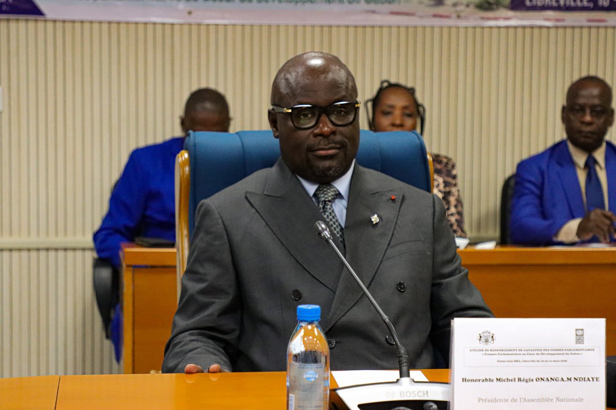 PNUD GABON tweet media