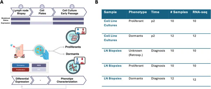 JournalofExper1's tweet image. New!📲

Biopsy RNA-seq captures #TROP-2–linked migration and clonal resistance to forecast aggressiveness in #metastaticmelanoma

Full text👇
link.springer.com/article/10.118…

#Dormancy
#RNAseq
#Biomarkers
#Immunotherapy