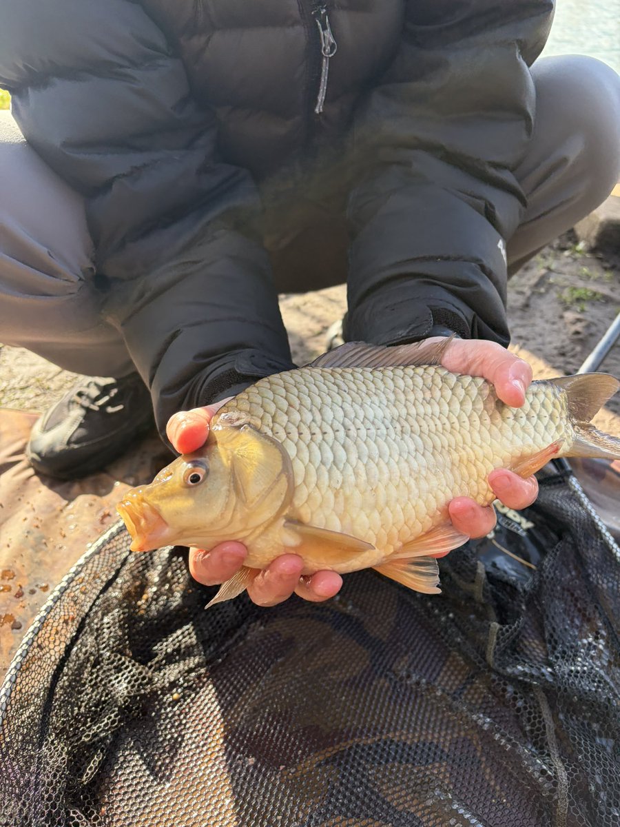 fishingthemind's tweet image. Massive well done to all participants today !

Many fish caught some little some big 😝 ! Nice to see a ghosty as well. 👌🏼

Huge achievement 🎣🧠 

The biggest was caught just 5 minutes before the session was due to finish. Well done 🙌🏻

#achievement #learning #fishingtherapy