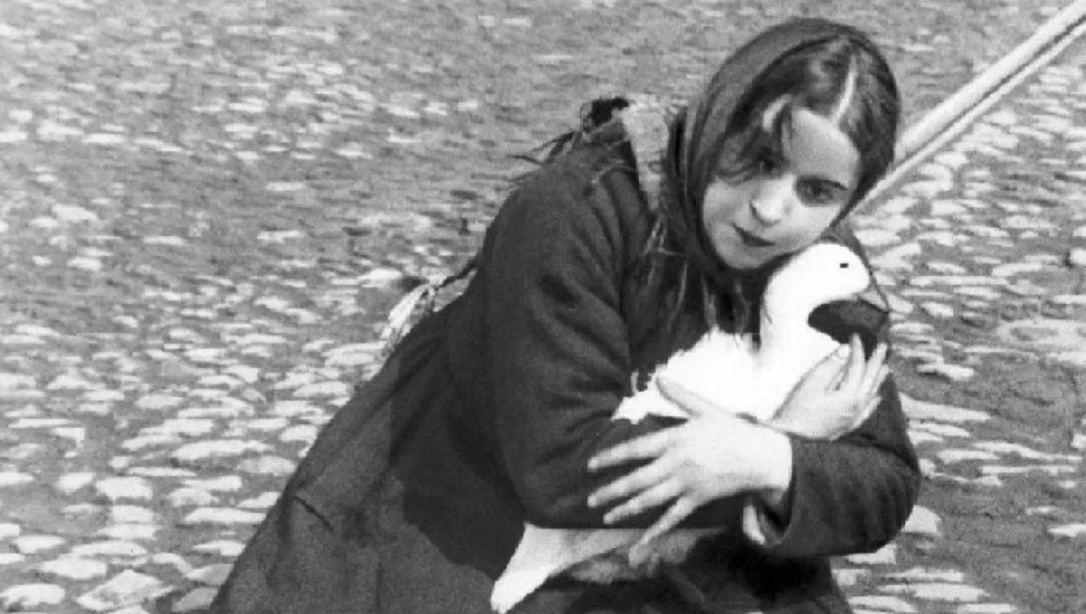 Metrograph tweet media