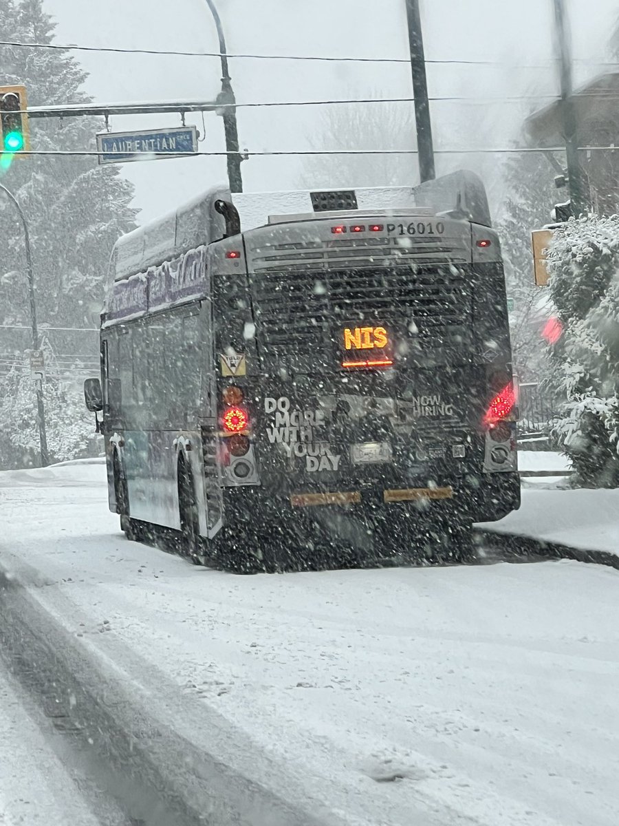 samyeh's tweet image. So it begins #bcsnow #BCStorm #coquitlam