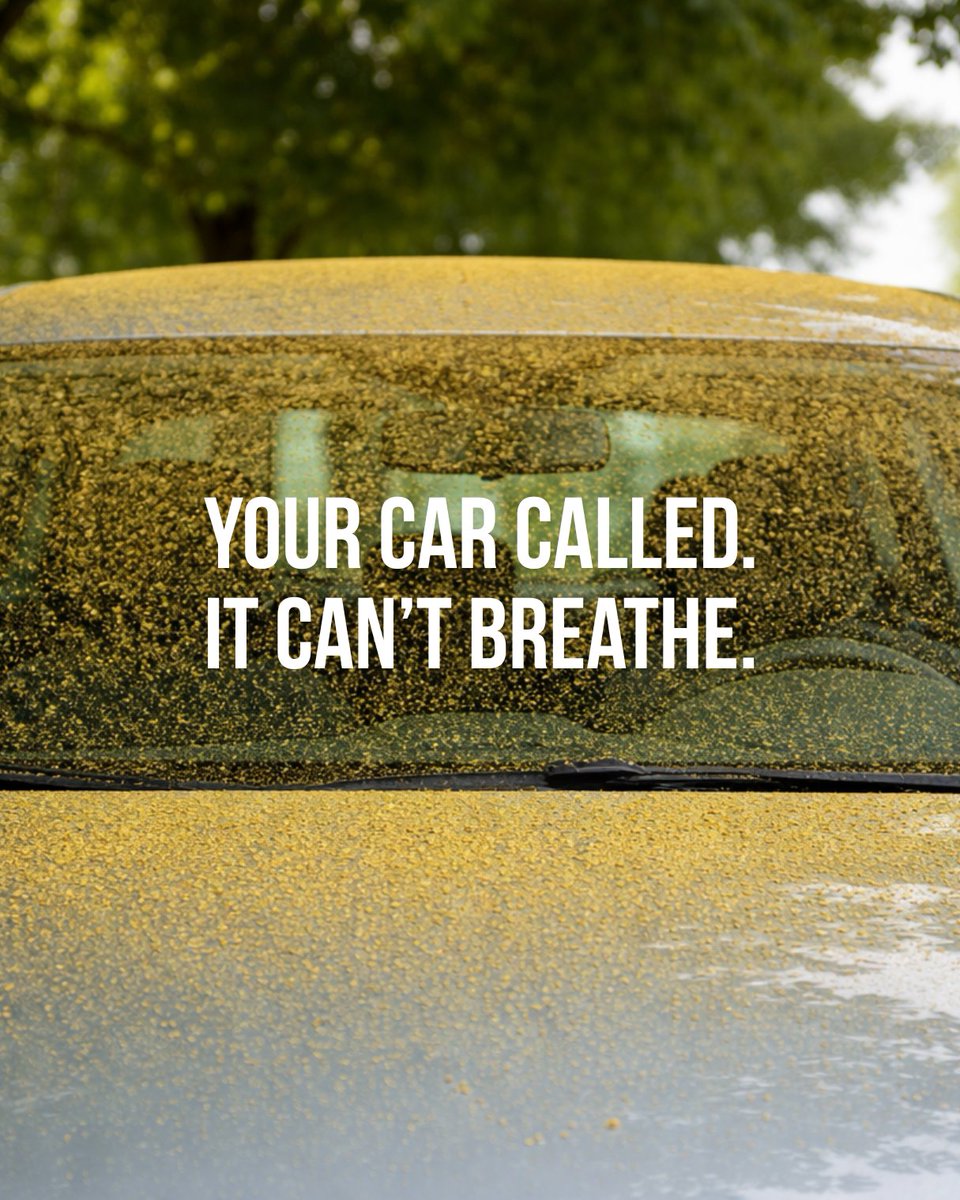 Tidal Wave Auto Spa tweet media