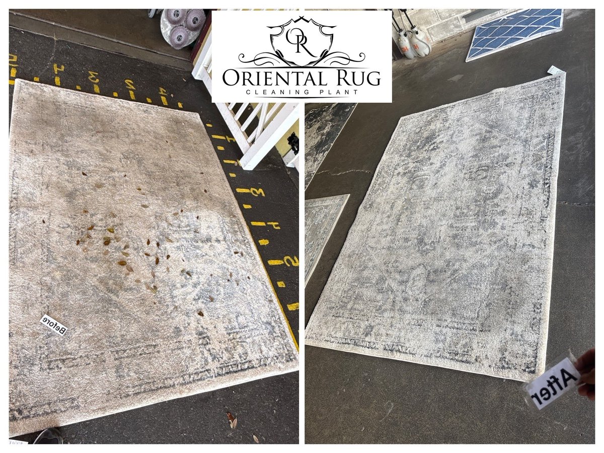 Rug Cleaning Orlando tweet media