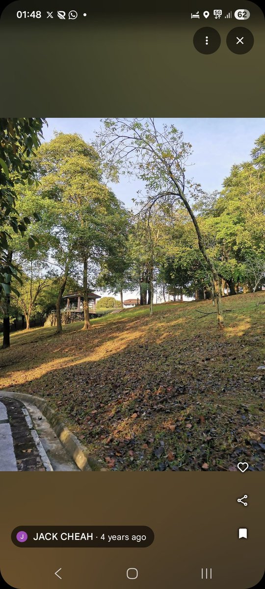 huszprivatelive tweet media