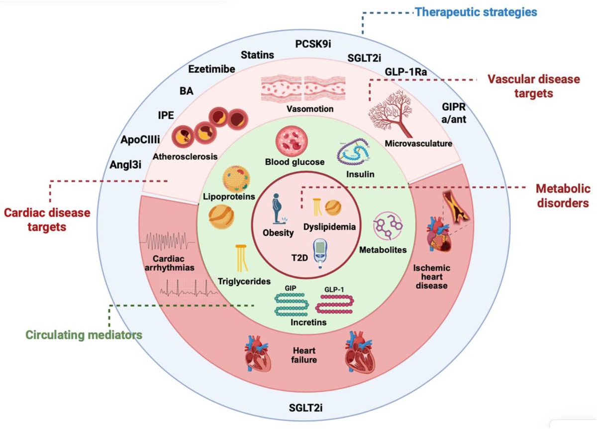 Pablo Corral MD tweet media