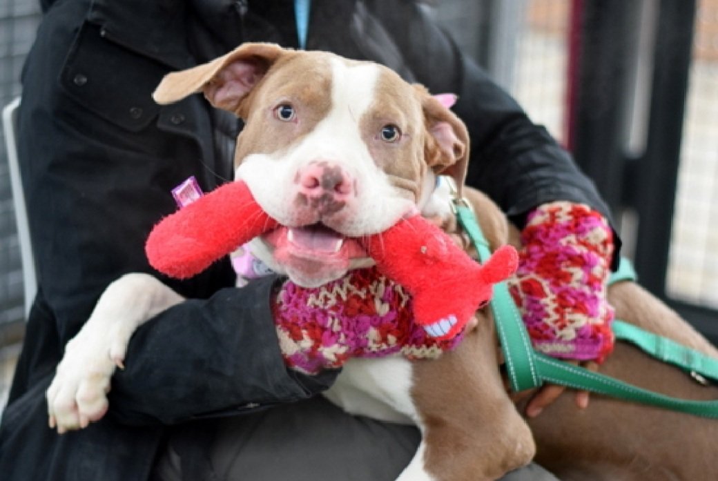 Julie🌻🐾 tweet media