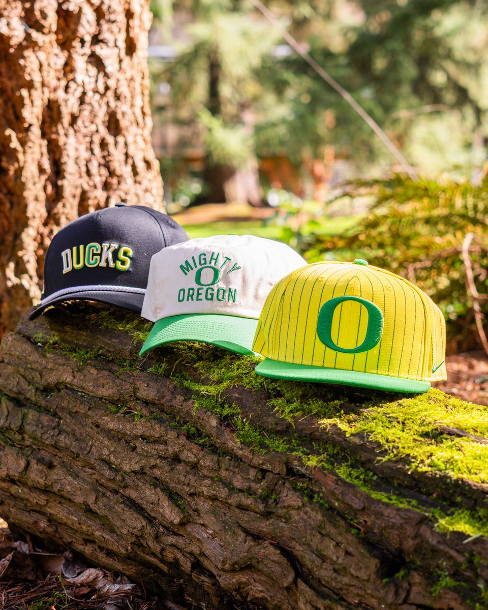 The Duck Store tweet media