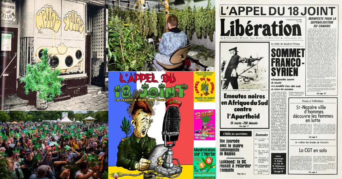 VOC Nederland tweet media