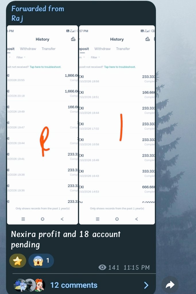 $THEOGGYBAT 🐬TermMax tweet media