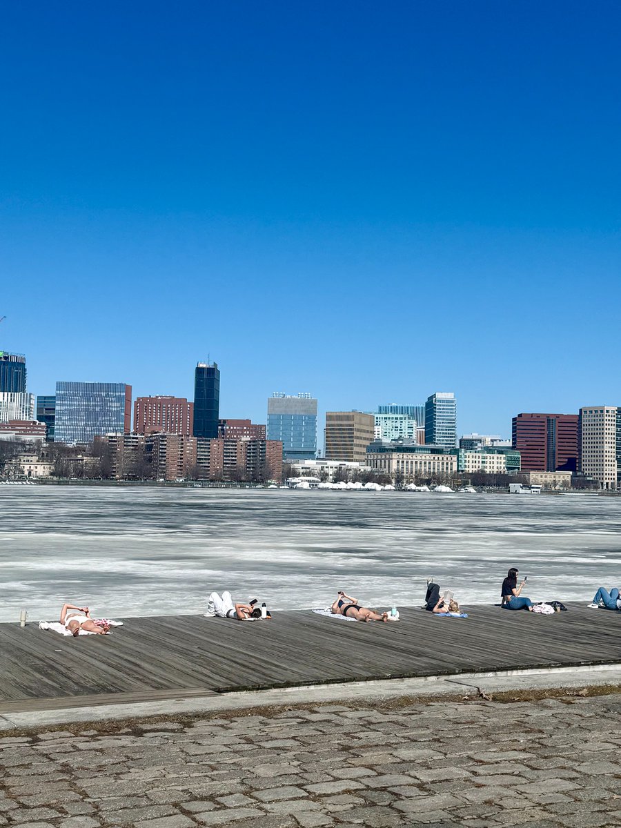 Only In Boston tweet media