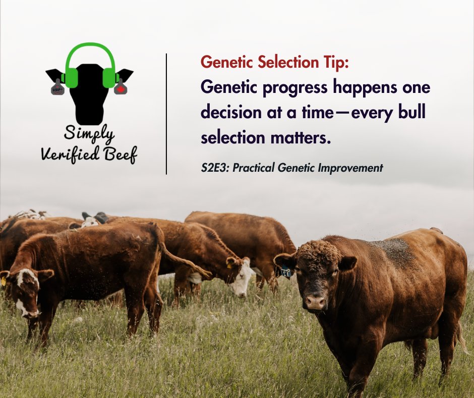 VBP+ Canada tweet media