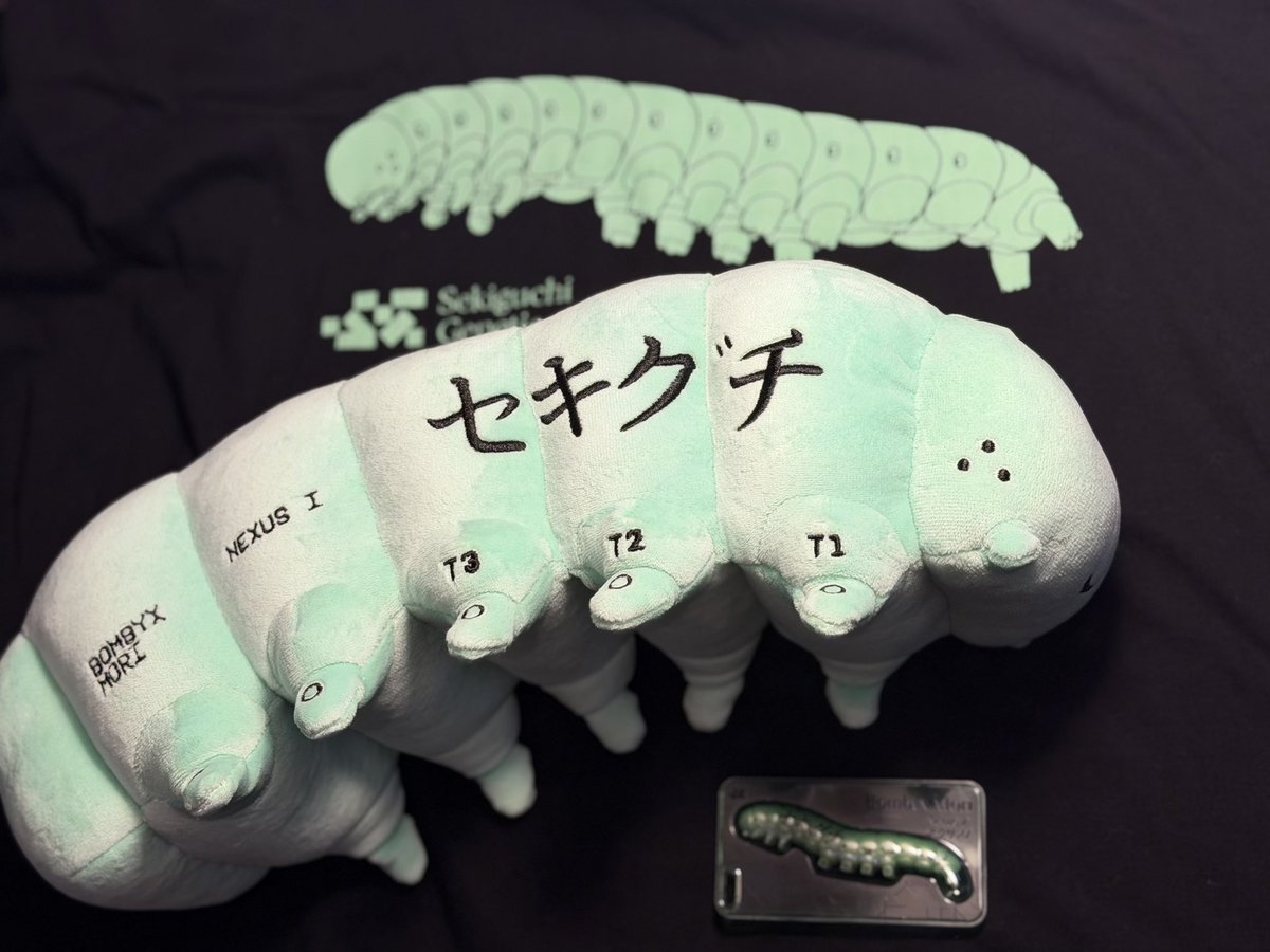 Pfhor Loko tweet media