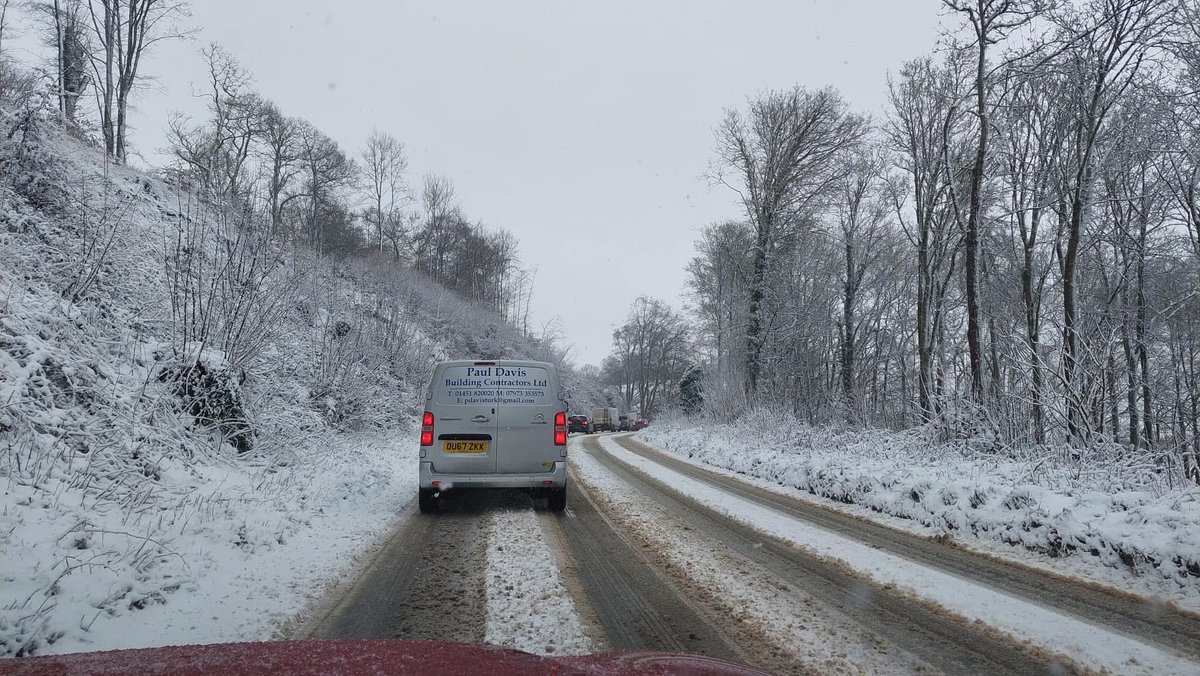 Darin (Zol.) tweet media