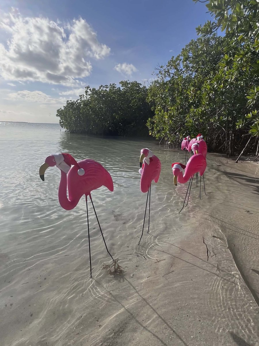 BlueMarlinMotel tweet media