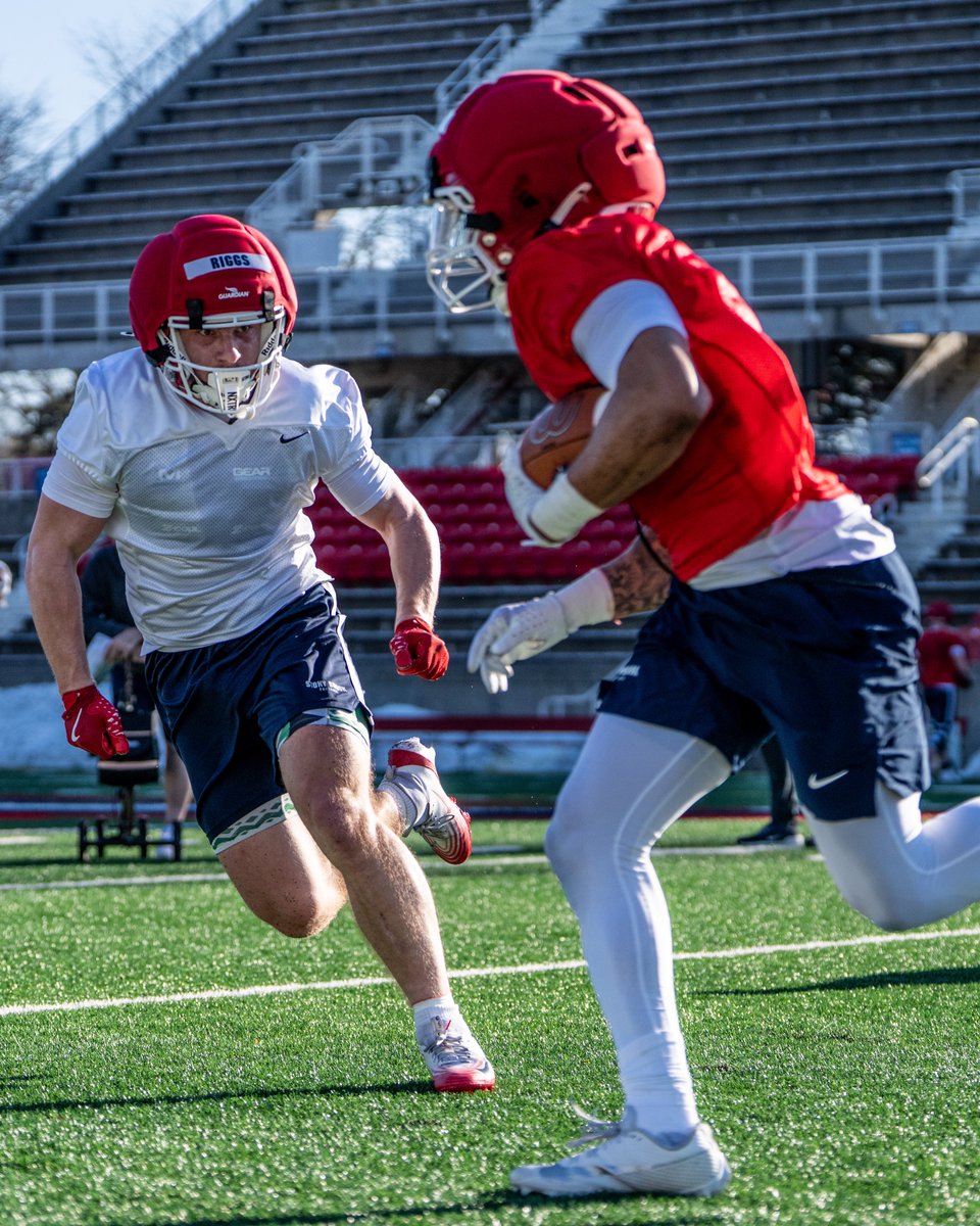 Stony Brook Football tweet media