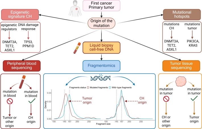 M_Tagliamento's tweet photo. “The interplay of clonal hematopoiesis and cancer: Clinical implications in oncology”
Check our comprehensive review, including the management in clinical practice

Led by Mégane Tanguay
@JB_Micol @Elsa2Bernard @BenjaminBesseMD
@GustaveRoussy @UniGenova

https://t.co/2ymKKdKJt9 https://t.co/M7XIyZs8Tk