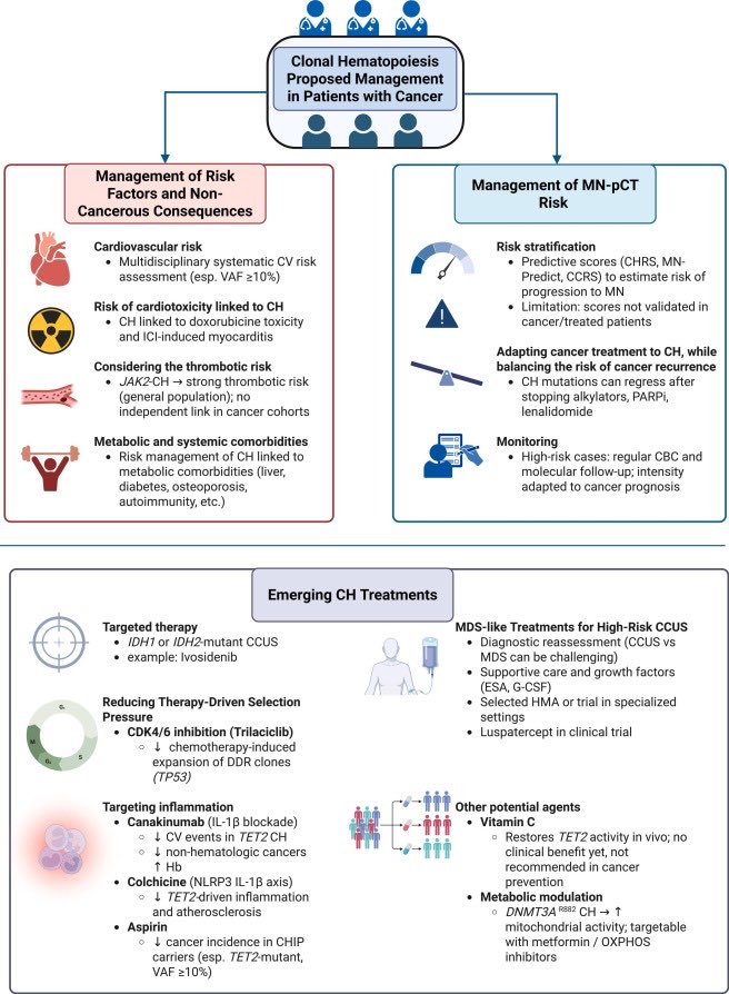 M_Tagliamento's tweet photo. “The interplay of clonal hematopoiesis and cancer: Clinical implications in oncology”
Check our comprehensive review, including the management in clinical practice

Led by Mégane Tanguay
@JB_Micol @Elsa2Bernard @BenjaminBesseMD
@GustaveRoussy @UniGenova

https://t.co/2ymKKdKJt9 https://t.co/M7XIyZs8Tk