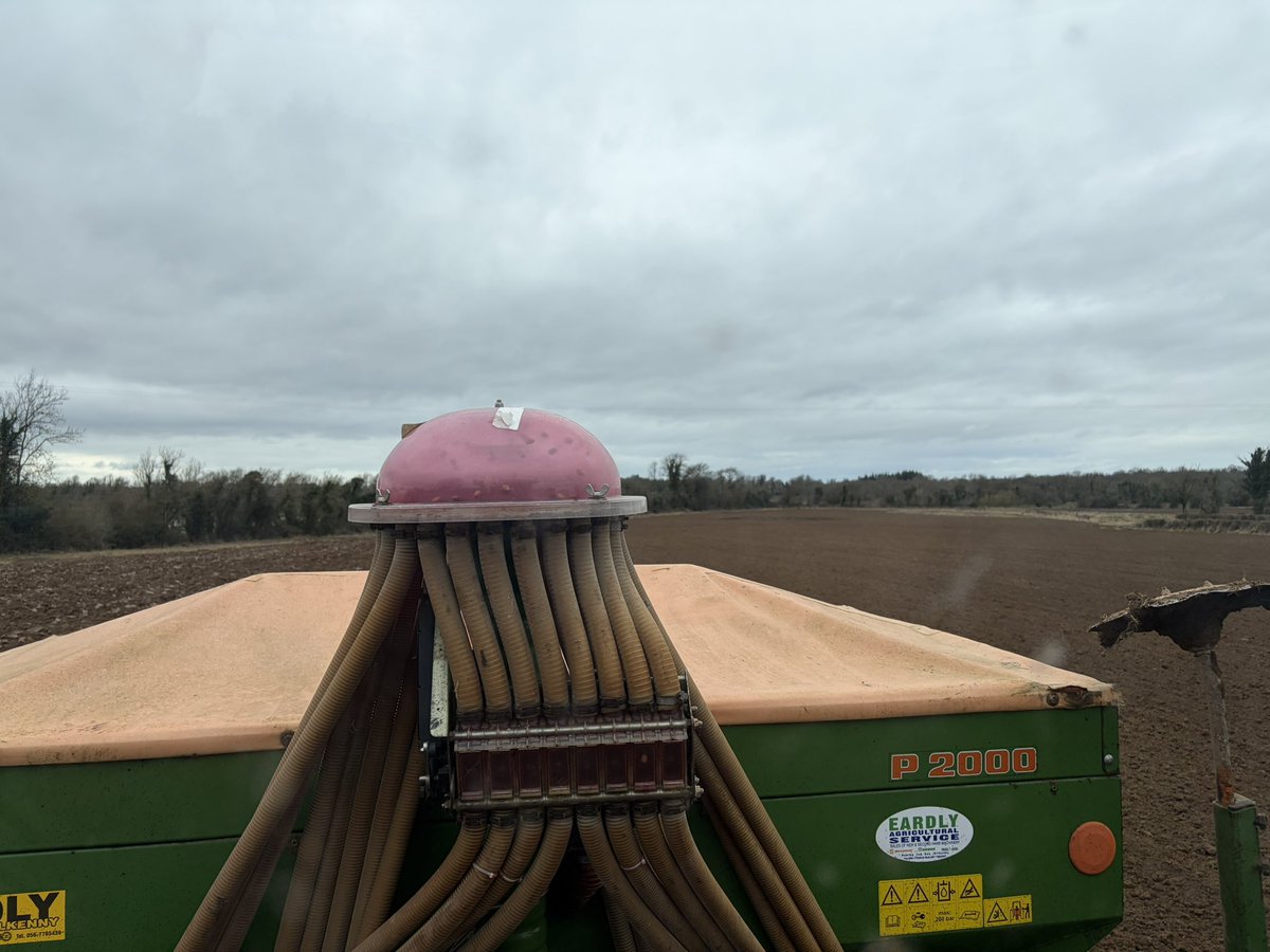 Conall Moore tweet media