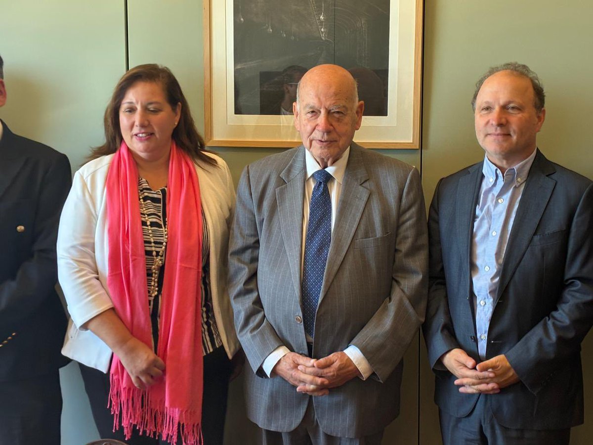 José Miguel Insulza tweet media