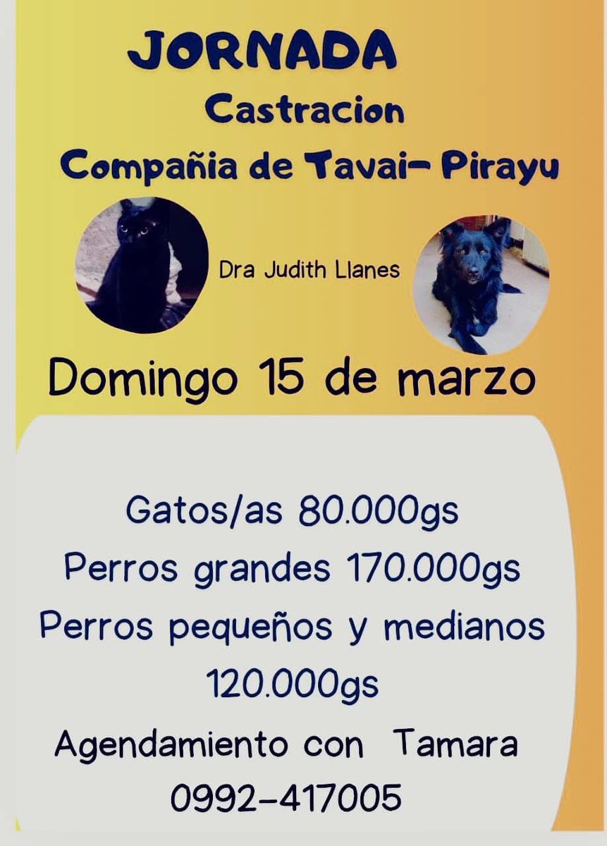 Marcando Huellas tweet media