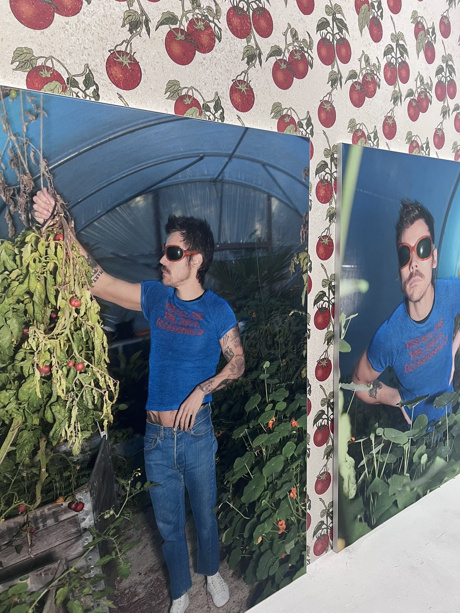 1DFLMIAMI's tweet photo. Did any of you also get to go to the Miami Pop Up? It was so much fun! https://t.co/4ozEG9ZqVA