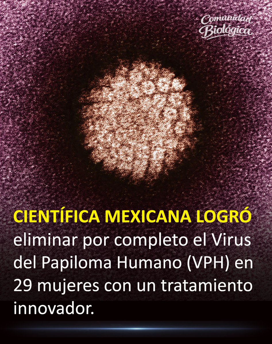 Una noticia histórica que nos llena de esperanza. La doctora Eva Ramón Gallegos, del Instituto Politécnico Nacional, marcó un hito.

Tras dos décadas de investigación, su equipo médico logró erradicar el VPH en un grupo de veintinueve pacientes mexicanas.

Todo esto fue posible