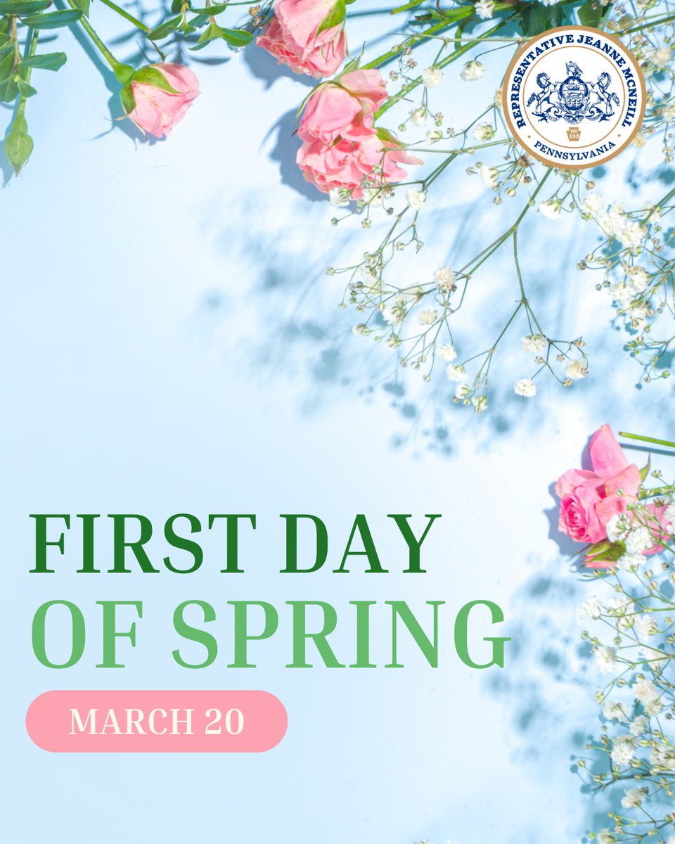 Rep. Jeanne McNeill tweet media