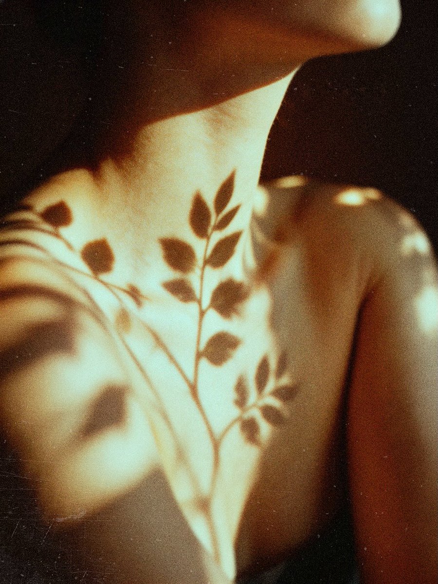 ✺ 𝖫𝖺𝗌𝗍𝗂𝗇𝗅𝗂𝗇𝖾 (@enilnitsal) on Twitter photo 