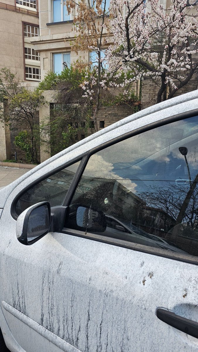 ShimaVezvaei's tweet photo. "Killing the blossoms won't delay the spring," they say. The acid rain from the bombardment of oil facilities still remains on my car. As they warned us about breathing poisonous air in #Tehran, the naïve branch in front of my grandmother's house blossomed regardless. https://t.co/2bcNpJI9Ki