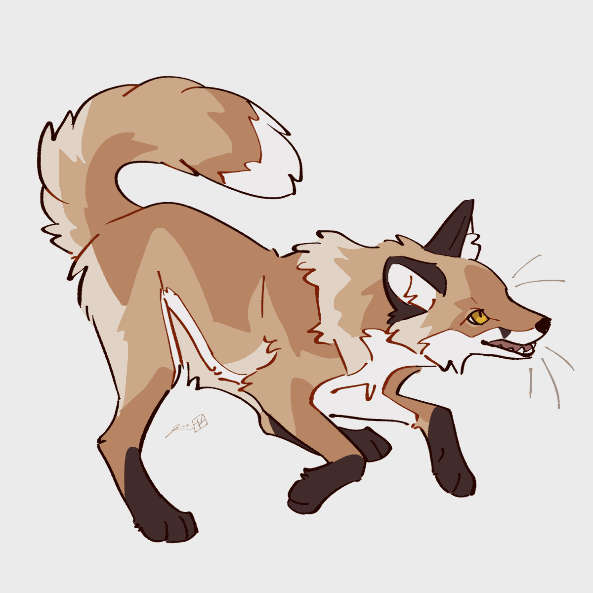 水谷霖 tweet media