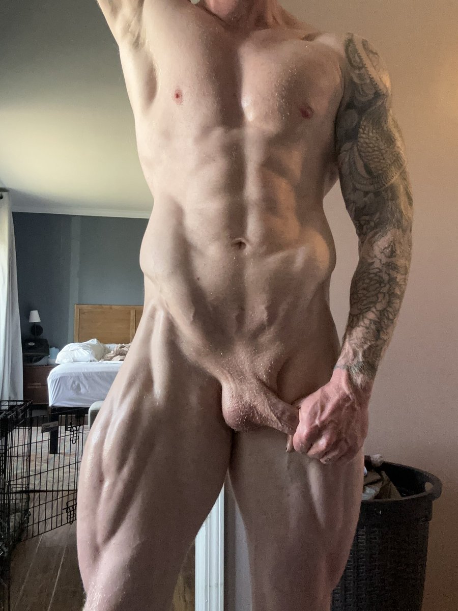 SHREDDYFUX tweet media