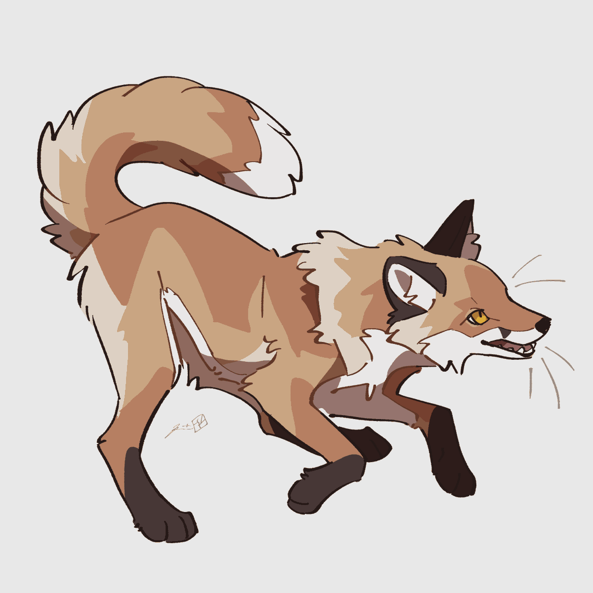 つく🌕シェルティ tweet media