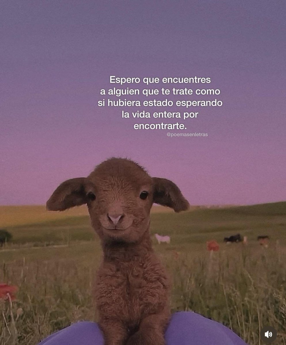 BANDIDOS (@bandidosfrasess) on Twitter photo 